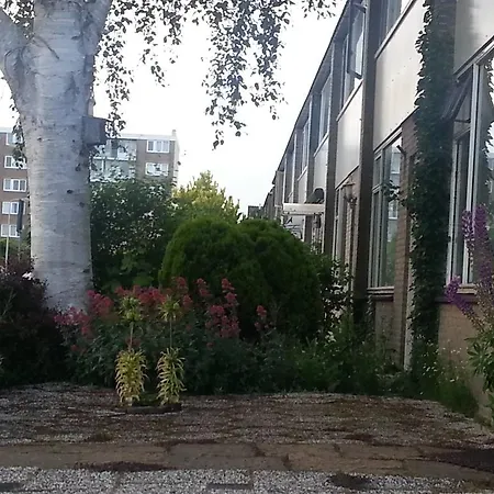 Dutchable Homestay Alphen aan den Rijn
