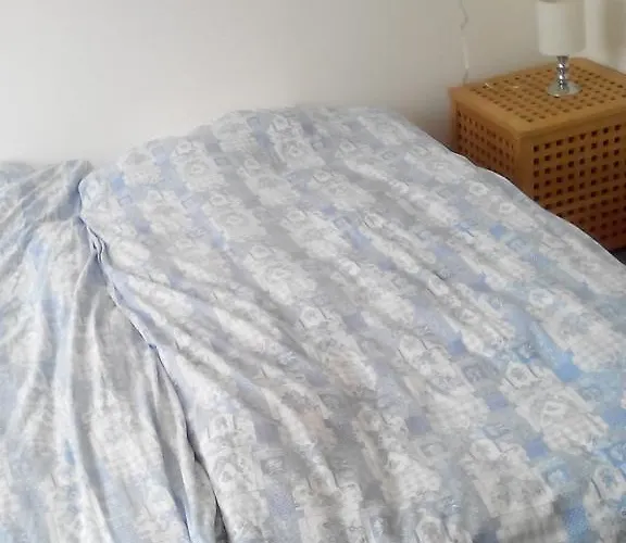 Homestay Dutchable ألفن آن دن راين