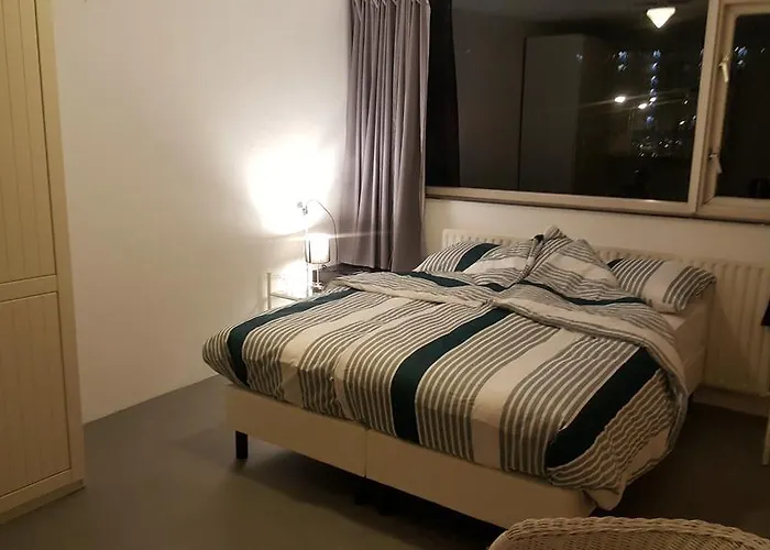 Homestay Dutchable منزل للإقامة ألفن آن دن راين